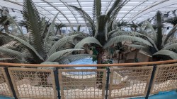 Wellness Oase Atlantik 24.03.11 Traumhafte Strände und Wale in Mittelamerika und Karibik AIDAluna 005