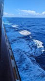 Atlantik 24.02.29 Traumhafte Strände und Wale in Mittelamerika und Karibik AIDAluna 004