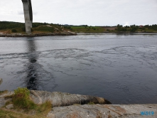 Saltstraumen Bodø 19.08.05 - Fjorde Berge Wasserfälle - Fantastische Natur in Norwegen AIDAbella