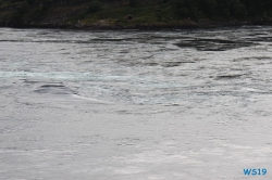 Saltstraumen Bodø 19.08.05 - Fjorde Berge Wasserfälle - Fantastische Natur in Norwegen AIDAbella