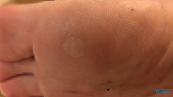 Bridgetown 25.12.11 Baden und Schnorcheln im kristallklaren Meer AIDAperla 014