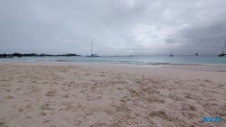 Carlisle Bay Bridgetown 25.12.11 Baden und Schnorcheln im kristallklaren Meer AIDAperla 006