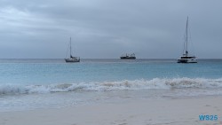 Carlisle Bay Bridgetown 25.12.11 Baden und Schnorcheln im kristallklaren Meer AIDAperla 008