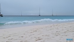 Carlisle Bay Bridgetown 25.12.11 Baden und Schnorcheln im kristallklaren Meer AIDAperla 010