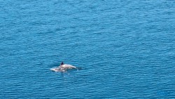 Kotor 22.04.14 - Tolle neue Ziele im Mittelmeer während Corona AIDAblu