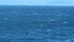 Cagliari 24.09.09 Geburtstage und Krimis virtuell und live im Mittelmeer AIDAcosma 025