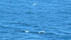 Cagliari 24.09.09 Geburtstage und Krimis virtuell und live im Mittelmeer AIDAcosma 026