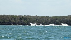 Baru Island Cartagena 24.02.22 Traumhafte Strände und Wale in Mittelamerika und Karibik AIDAluna 019