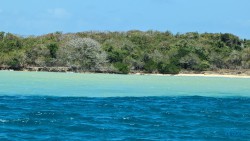 Baru Island Cartagena 24.02.22 Traumhafte Strände und Wale in Mittelamerika und Karibik AIDAluna 022