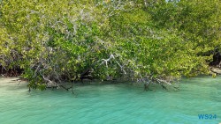 Baru Island Cartagena 24.02.22 Traumhafte Strände und Wale in Mittelamerika und Karibik AIDAluna 026