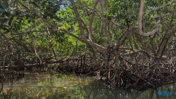 Baru Island Cartagena 24.02.22 Traumhafte Strände und Wale in Mittelamerika und Karibik AIDAluna 038