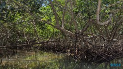 Baru Island Cartagena 24.02.22 Traumhafte Strände und Wale in Mittelamerika und Karibik AIDAluna 038