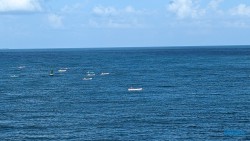 Cartagena 24.02.22 Traumhafte Strände und Wale in Mittelamerika und Karibik AIDAluna 008