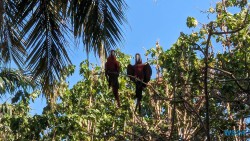 Port Oasis Eco Park Cartagena 24.02.22 Traumhafte Strände und Wale in Mittelamerika und Karibik AIDAluna 059