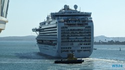 Ruby Princess Cartagena 24.02.22 Traumhafte Strände und Wale in Mittelamerika und Karibik AIDAluna 071