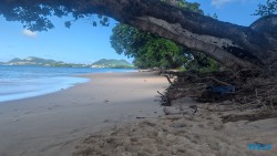 Vigie Beach Castries 24.11.30 Zu Fuß mit Taxi Fähre Boot Bus zu karibischen Stränden AIDAperla 013