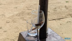 Ventura Beach Colombo 25.05.12 Begeistert zum ersten Mal in Südostasien AIDAstella 031