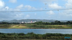 Panama Canal Railway Colón 24.02.21 Traumhafte Strände und Wale in Mittelamerika und Karibik AIDAluna 006