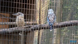 Umgeni River Vogelpark Durban 26.02.10 Südafrika zwischen Faszination und Kriminalität AIDAstella 005