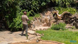 Umgeni River Vogelpark Durban 26.02.10 Südafrika zwischen Faszination und Kriminalität AIDAstella 015