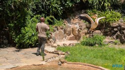 Umgeni River Vogelpark Durban 26.02.10 Südafrika zwischen Faszination und Kriminalität AIDAstella 016
