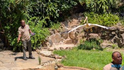 Umgeni River Vogelpark Durban 26.02.10 Südafrika zwischen Faszination und Kriminalität AIDAstella 017