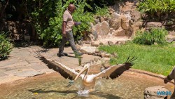 Umgeni River Vogelpark Durban 26.02.10 Südafrika zwischen Faszination und Kriminalität AIDAstella 018