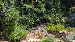 Umgeni River Vogelpark Durban 26.02.10 Südafrika zwischen Faszination und Kriminalität AIDAstella 022