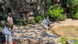 Umgeni River Vogelpark Durban 26.02.10 Südafrika zwischen Faszination und Kriminalität AIDAstella 023