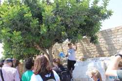 Haus des Eustolios Limassol 13.07.20 - Türkei Griechenland Rhodos Kreta Zypern Israel AIDAdiva Mittelmeer