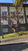 Funchal 25.02.03 Nach 10 Jahren wieder Kanaren um dem Winter zu entfliehen AIDAcosma 005