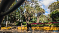 Funchal 25.02.03 Nach 10 Jahren wieder Kanaren um dem Winter zu entfliehen AIDAcosma 007