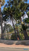 Funchal 25.02.03 Nach 10 Jahren wieder Kanaren um dem Winter zu entfliehen AIDAcosma 009