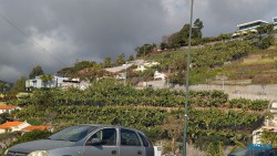 Funchal 25.02.03 Nach 10 Jahren wieder Kanaren um dem Winter zu entfliehen AIDAcosma 020