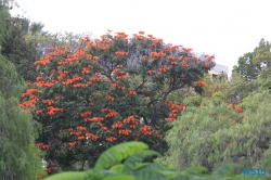 Parque de Santa Catarina Funchal Madeira 14.11.03 - Mallorca nach Gran Canaria AIDAblu Kanaren