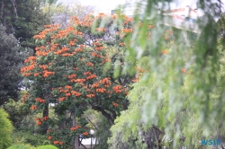 Parque de Santa Catarina Funchal Madeira 14.11.03 - Mallorca nach Gran Canaria AIDAblu Kanaren