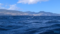 Funchal 25.02.10 Nach 10 Jahren wieder Kanaren um dem Winter zu entfliehen AIDAcosma 005