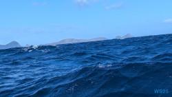 Funchal 25.02.10 Nach 10 Jahren wieder Kanaren um dem Winter zu entfliehen AIDAcosma 008