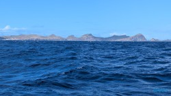 Funchal 25.02.10 Nach 10 Jahren wieder Kanaren um dem Winter zu entfliehen AIDAcosma 009