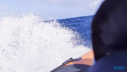 Funchal 25.02.10 Nach 10 Jahren wieder Kanaren um dem Winter zu entfliehen AIDAcosma 010