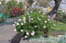 Parque de Santa Catarina Funchal Madeira 13.03.23 - Kanaren Madeira Spanien Portugal Frankreich AIDAbella Westeuropa