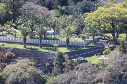 Funchal Madeira 14.04.16 - Karibik nach Mallorca AIDAbella Transatlantik