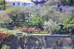 Funchal Madeira 14.04.16 - Karibik nach Mallorca AIDAbella Transatlantik