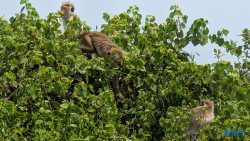 Hambantota 25.05.11 Begeistert zum ersten Mal in Südostasien AIDAstella 011