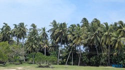 Hambantota 25.05.11 Begeistert zum ersten Mal in Südostasien AIDAstella 012