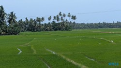 Hambantota 25.05.11 Begeistert zum ersten Mal in Südostasien AIDAstella 014