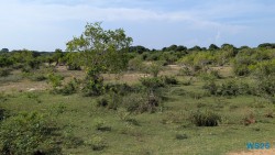 Hambantota 25.05.11 Begeistert zum ersten Mal in Südostasien AIDAstella 027
