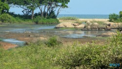 Yala Nationalpark Hambantota 25.05.11 Begeistert zum ersten Mal in Südostasien AIDAstella 032