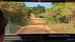 Yala Nationalpark Hambantota 25.05.11 Begeistert zum ersten Mal in Südostasien AIDAstella 033