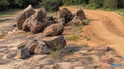 Yala Nationalpark Hambantota 25.05.11 Begeistert zum ersten Mal in Südostasien AIDAstella 048